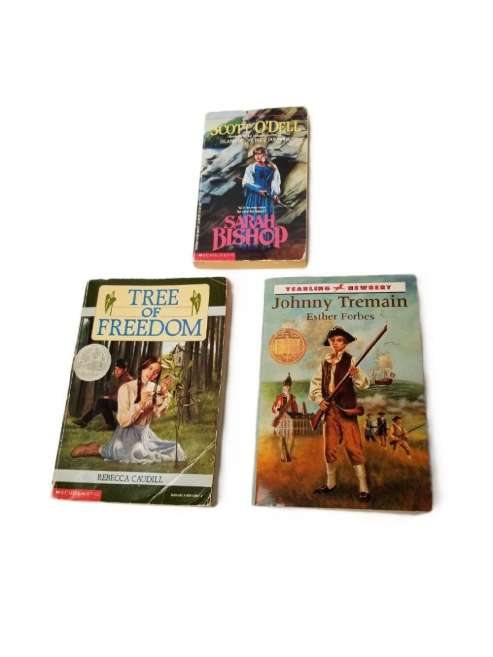 Colonial America Books Johnny Tremain Sarah Bishop Tree of Freedom